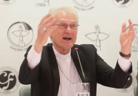 Бразилия: католический епископ поддержал однополые браки