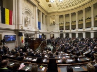 Сенат Бельгии одобрил законопроект об эвтаназии для детей