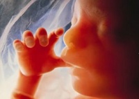 В Конституции необходимо закрепить право на жизнь с момента зачатия - Н.Якунина