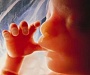 В Конституции необходимо закрепить право на жизнь с момента зачатия - Н.Якунина