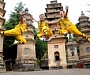 Китайские монахи создали антитеррористический отряд