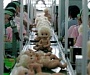В Индии открылась первая в мире фабрика по производству детей