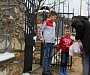 Рождественские дары от читателей «Православие.Ru» получили дети в Косово и Метохии