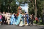 Свыше 200 человек приняли участие в крестном ходе с иконой Божией Матери «Всецарица» в Минске