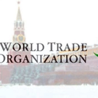 Борьба против вступления России в ВТО переместилась в Конституционный Суд