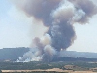 Сильный пожар начался у сухопутной границы Афона