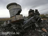 Данные авиадиспетчеров подтвердили: рядом с «Боингом», рухнувшим на Украине, летел военный самолет.