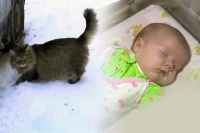 В Калужской области кошка несколько часов согревала подброшенного в подъезд малыша.
