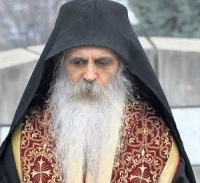 Епископ Бачский Ириней: Сегодня те, кто все время говорит об афтокефалии, ведут борьбу против единства.