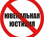 «Позиция Русской Православной Церкви по ювенальной юстиции»