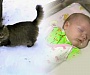 В Калужской области кошка несколько часов согревала подброшенного в подъезд малыша.