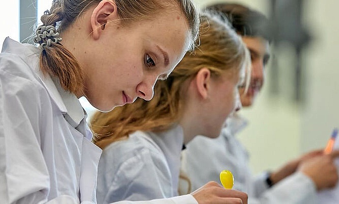 Российские 11-классники могут поступить в школу, где бесплатно готовят к поступлению в МГУ