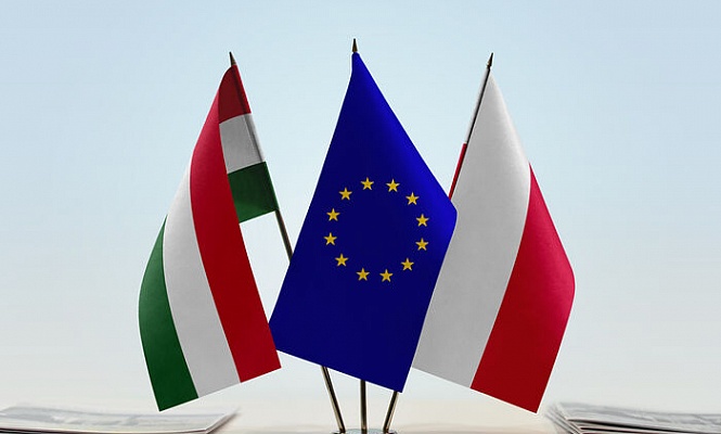ЕС возбудил судебные иски против Венгрии и Польши по вопросу защиты ими традиционных семейных ценностей