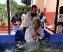 В Камеруне состоялось соборное Крещение