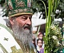 Патриарх Кирилл поздравил митрополита Киевского Онуфрия с 70-летием.