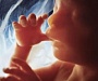 Медики смогут не совершать аборты, а женщины, решившиеся на аборт, сначала увидят УЗИ малыша